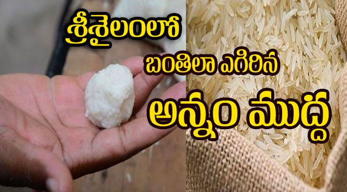 Plastic Rice Ball In Srisailam