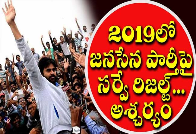 Did Janasena Rules 2019 Elections?