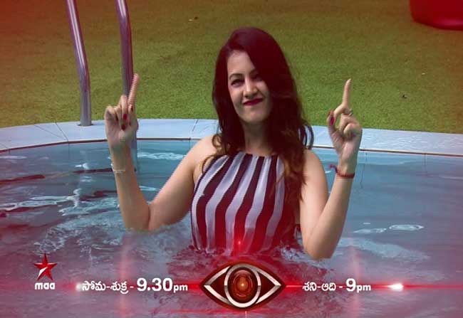 New Participant Into Big Boss