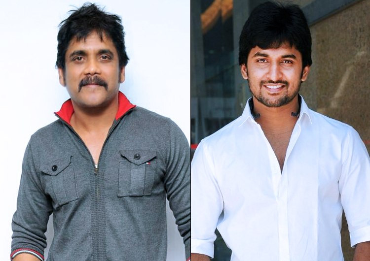 Nagarjuna And Nani Multi Starrer Movie