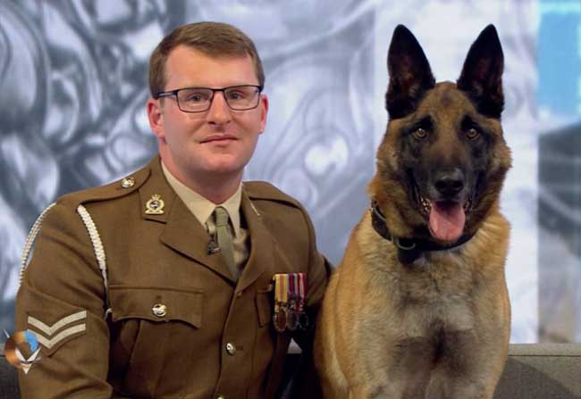 Army Dog Wins Highest Gallantry Award