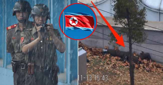 North Korean army kills its own soldier!