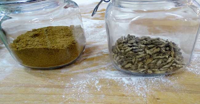 World’s first ‘Insect Bread’ delivered!