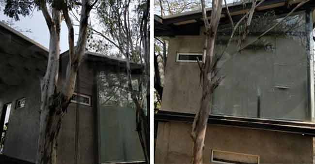 Akkineni Nagarjuna gifts love cottage to love birds!