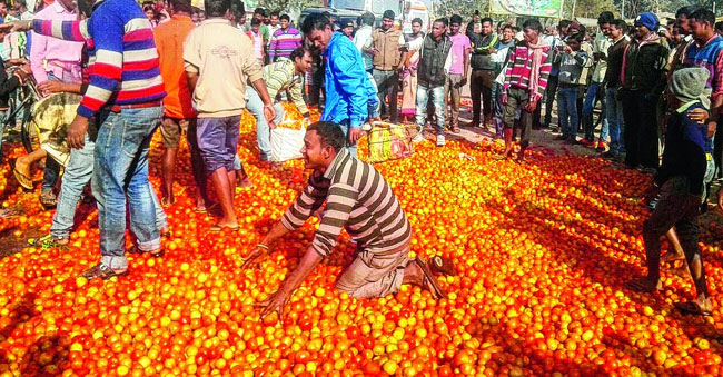 OMG! Kg Tomatoes Just Rs. 2?