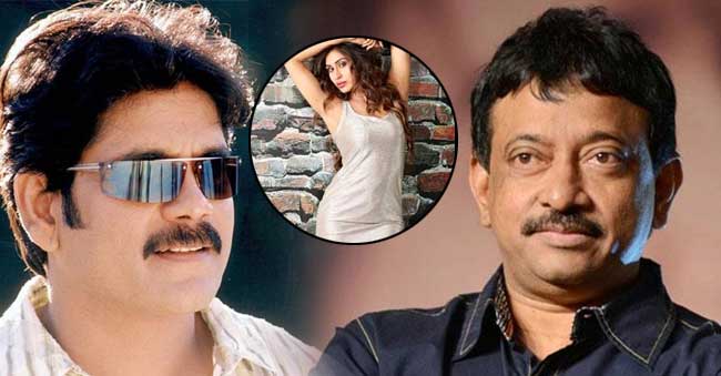 Myra Sareen making her Telugu Debut opposite Nag!