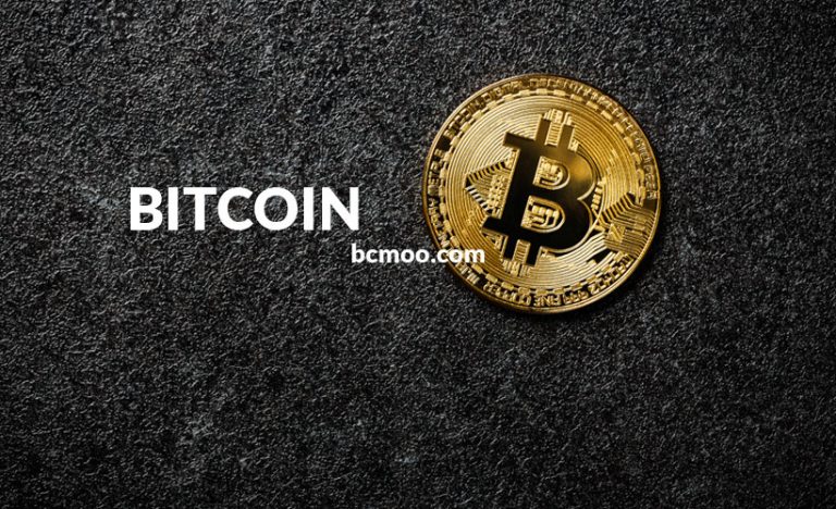 A Short History Of Bitcoin And Crypto Currency Everyone Should Know