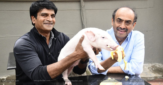Adhugo-Ravi-Babu-Brings-Pig