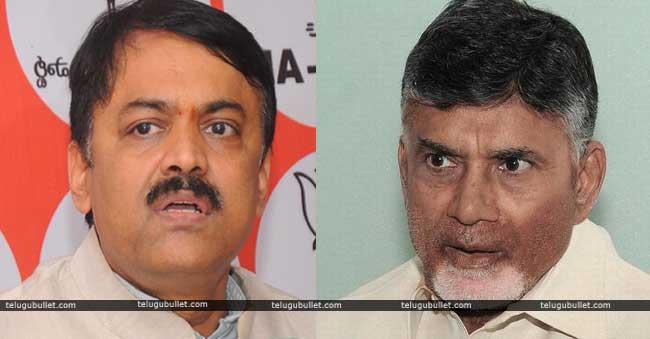 tdp mps charged at bjp mp gvl