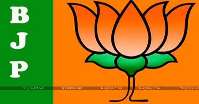 Can BJP Overcome AP Bifurcation Promises Prior To The Elections