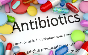antibiotic resistance key area for us-india ties: juster