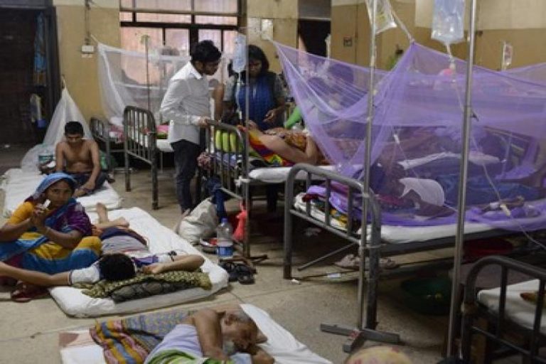 11 Doctors at Govt Hospital Test Positive for Dengue in Aurangabad