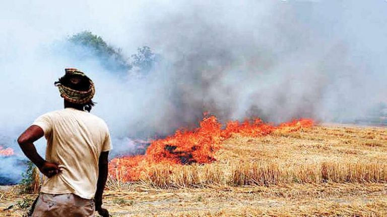 “Time To Punish Officers”: Supreme Court On Stubble Burning