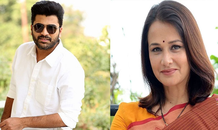 Amala Akkineni Cameo in Sharwanand film