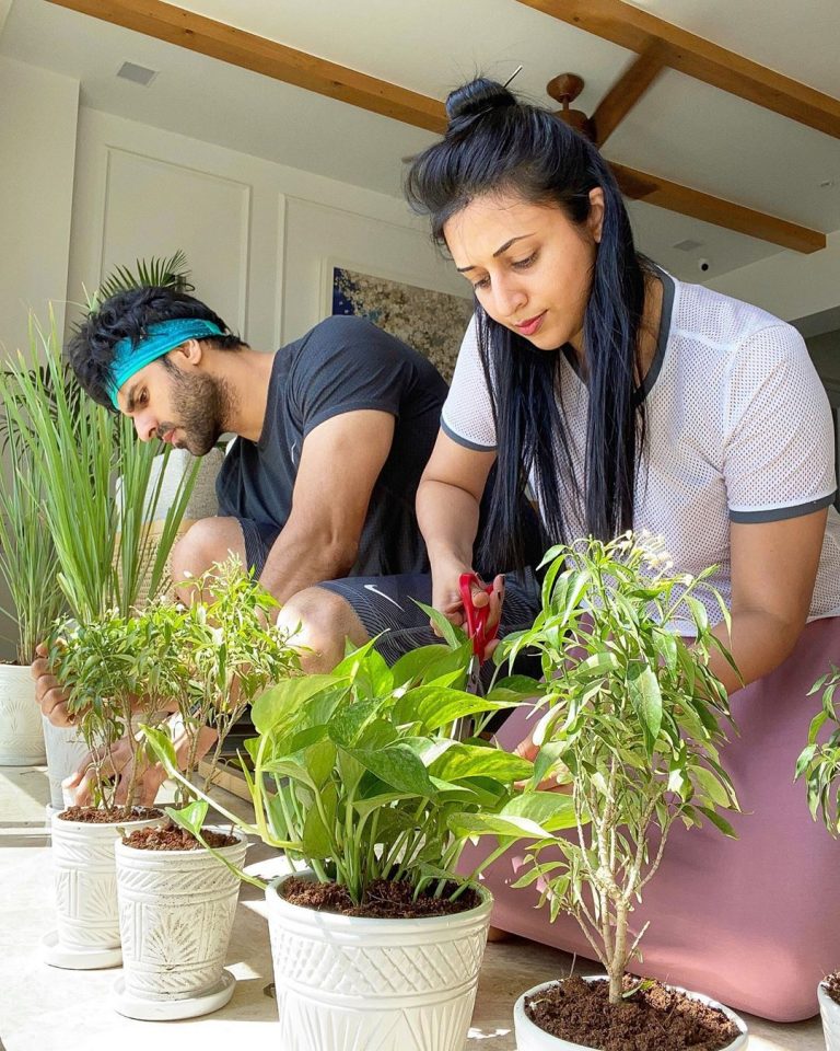 Divyanka, Vivek ‘lost in jungle’ at home!