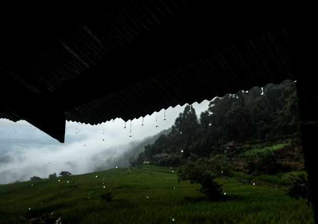 IMD to release second monsoon forecast on June 1