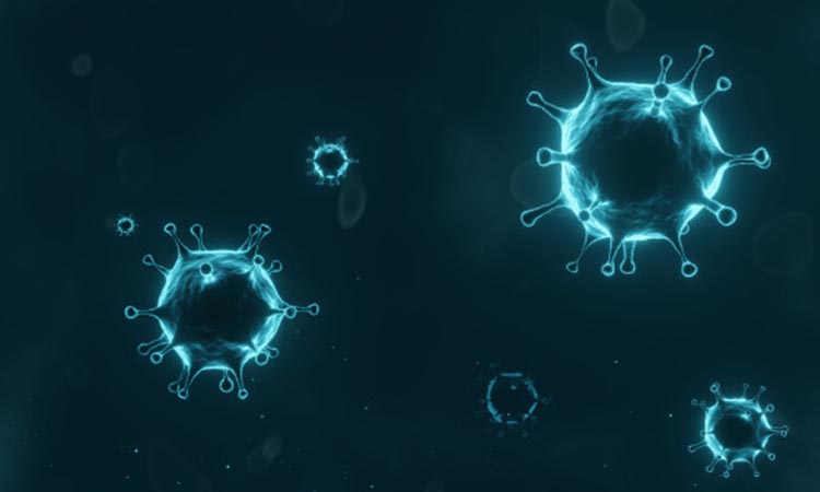 Experts tell why some states recovering faster from COVID-19