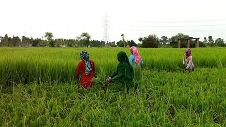 Jagan Mohan Reddy New Plan For Farmers