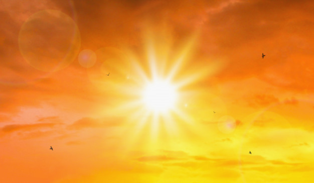 Severe heatwave will sweep northern, central India: IMD