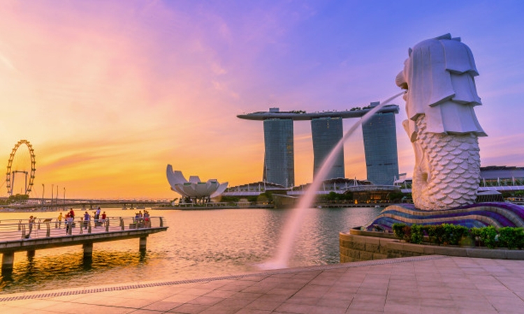 S’pore Indian restaurant serves meals to hospital workers