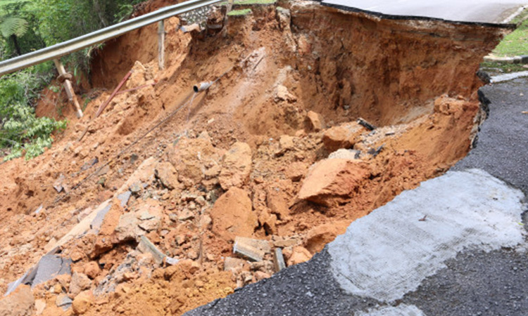21 killed, seven injured in three Assam landslides