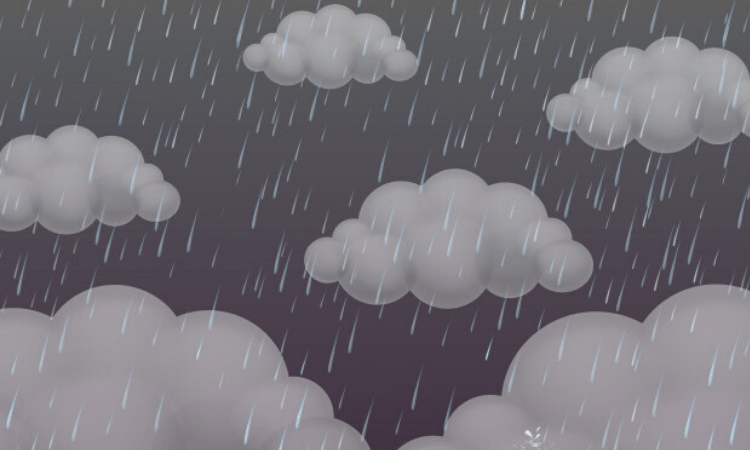 Boost your immunity to sail through the Monsoon