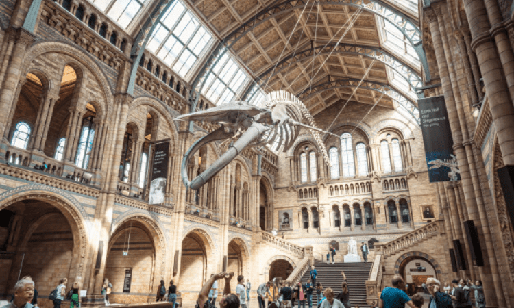 England’s museums, galleries won’t reopen on July 4