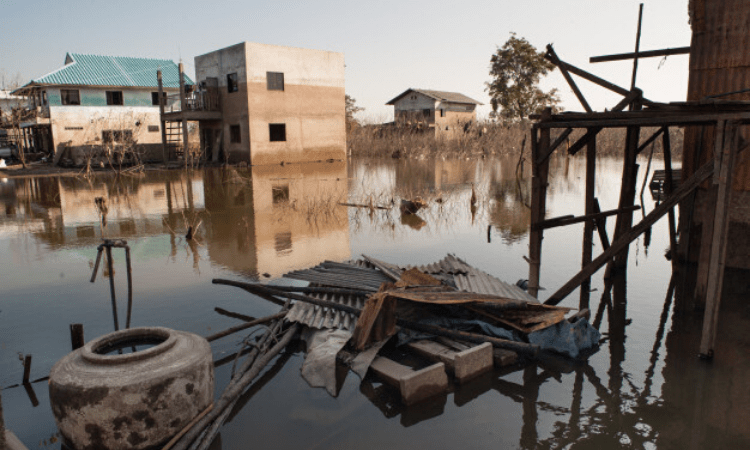 Flood situation remains grim in Assam, 4.63 lakh people affected
