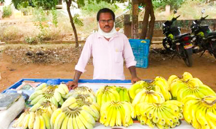 Forced to sell bananas, jobless AP teacher gets succour from ex-students