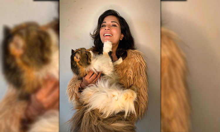 When Richa Chadha was slapped by her cat