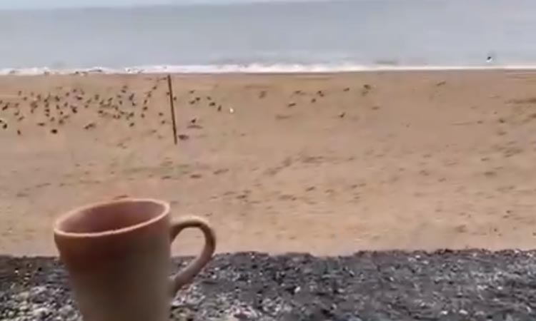 Twinkle Khanna hoping for ‘not too friendly’ cyclone