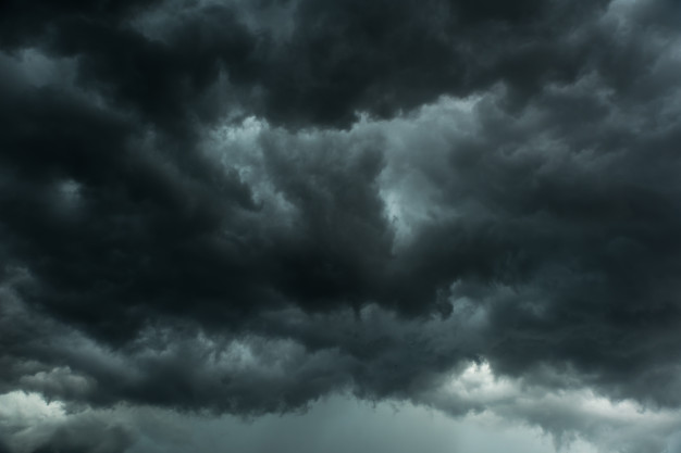 Typhoon Nuri makes landfall in China