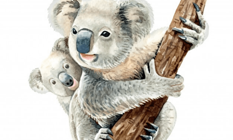 Australian govt urged to save koalas from extinction
