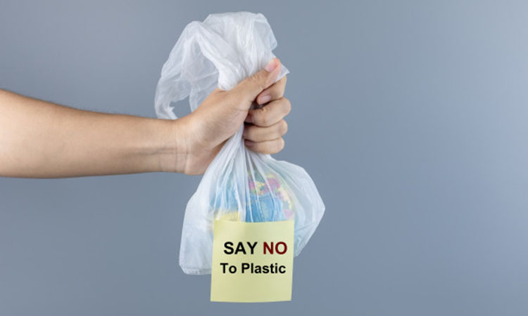 A path towards plastic-free world