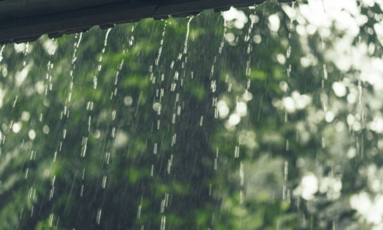 7 killed in Karachi rain