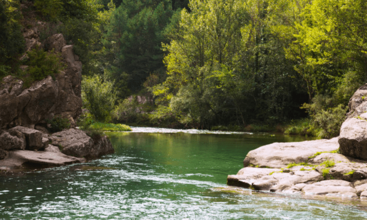 Holy water from Kanyakumari, Cauvery, sacred soil from TN sent to Ayodhya