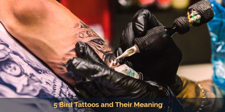 5 Bird Tattoos and Their Meaning