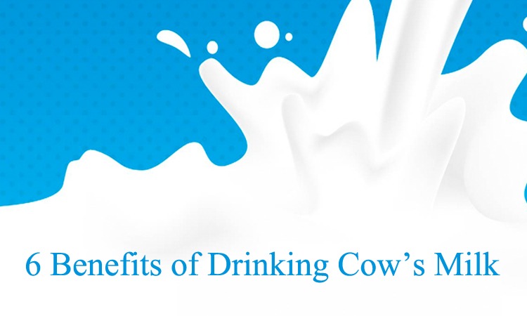 6 benefits of drinking cow’s milk