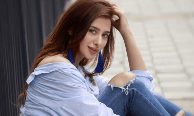 Mahira and Paras try to give ‘Bigg Boss’ feel to their new music video