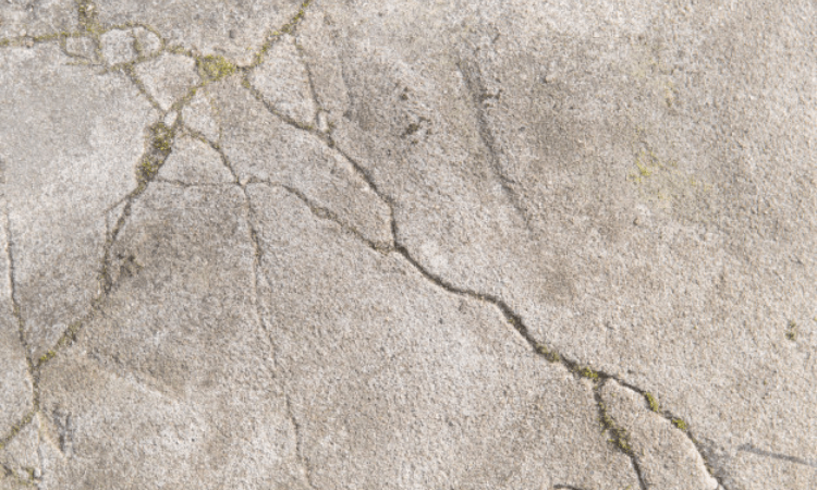 Over 100 buildings damaged in North Carolina quake