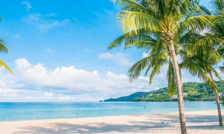 SL extends debt moratorium for crisis-hit tourism sector