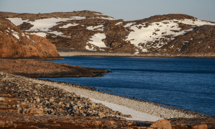 Arctic gets greener due to rising temperature