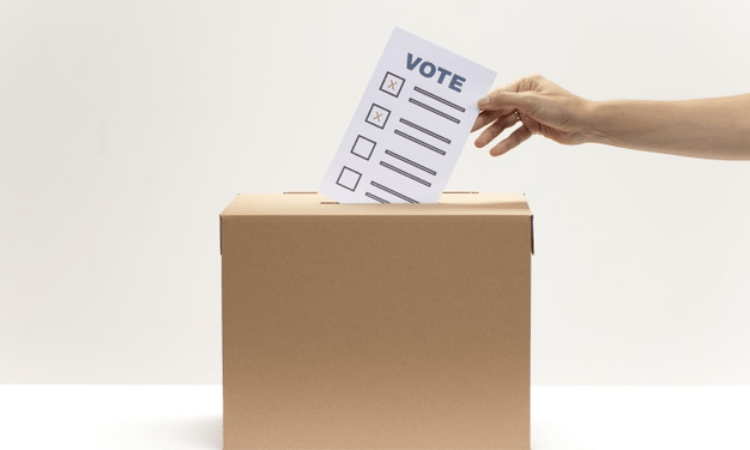 BSP to contest Assembly bypolls for first time in UP