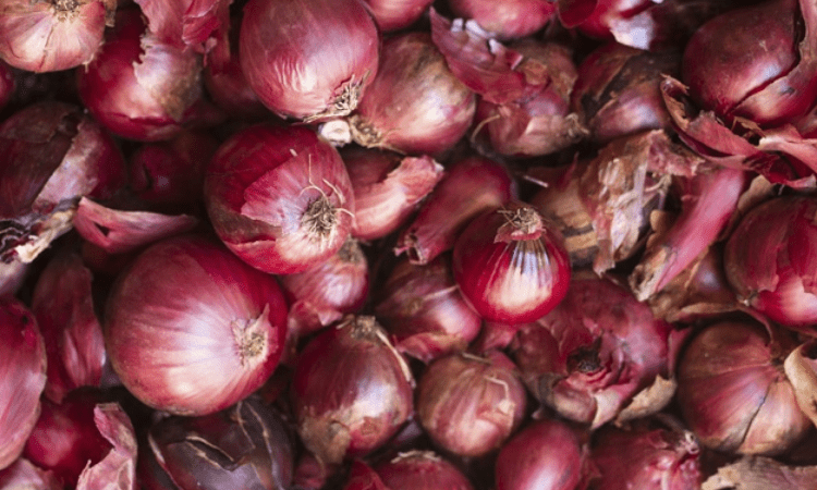 B’desh urges India to revoke ban on onion export