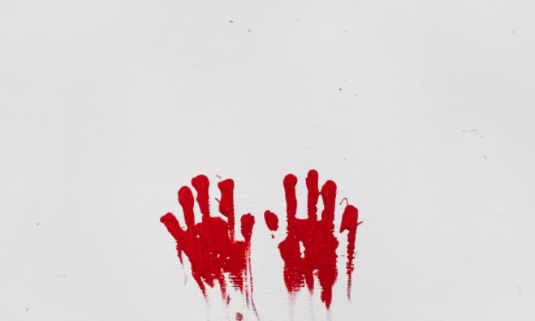 Bengal court convicts wife in New Town lawyer murder case