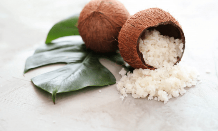 On World Coconut Day, Kerala looks to Centre to improve yield