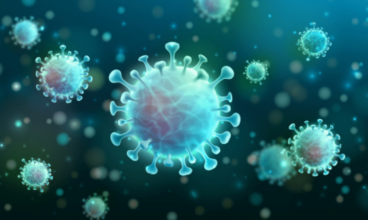 Common cold in past may give protection from Covid-19