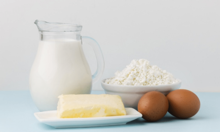 Eating dairy products may cut bowel cancer risk: Study