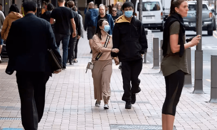 New Zealand reports six new Covid-19 cases