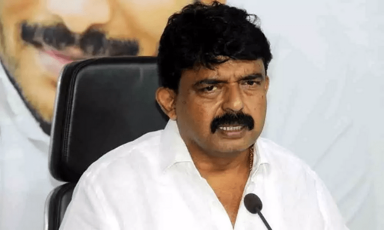 Andhra minister says TDP workers in judiciary for Naidu’s benefit